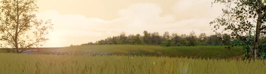 Barley Field Lighting in Blender