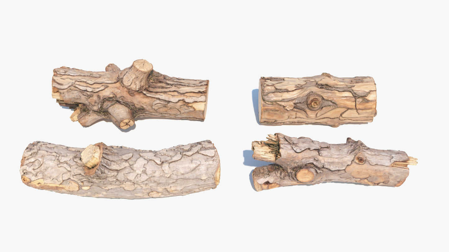 Four pieces of natural wooden logs on a white background. 3D model, low poly count PBR textures, game ready