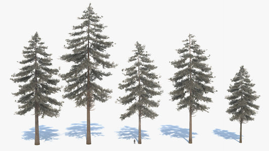 Douglas fir tree 3D model with low polycount and PBR materials, perfect for video games and real-time, VR, etc...