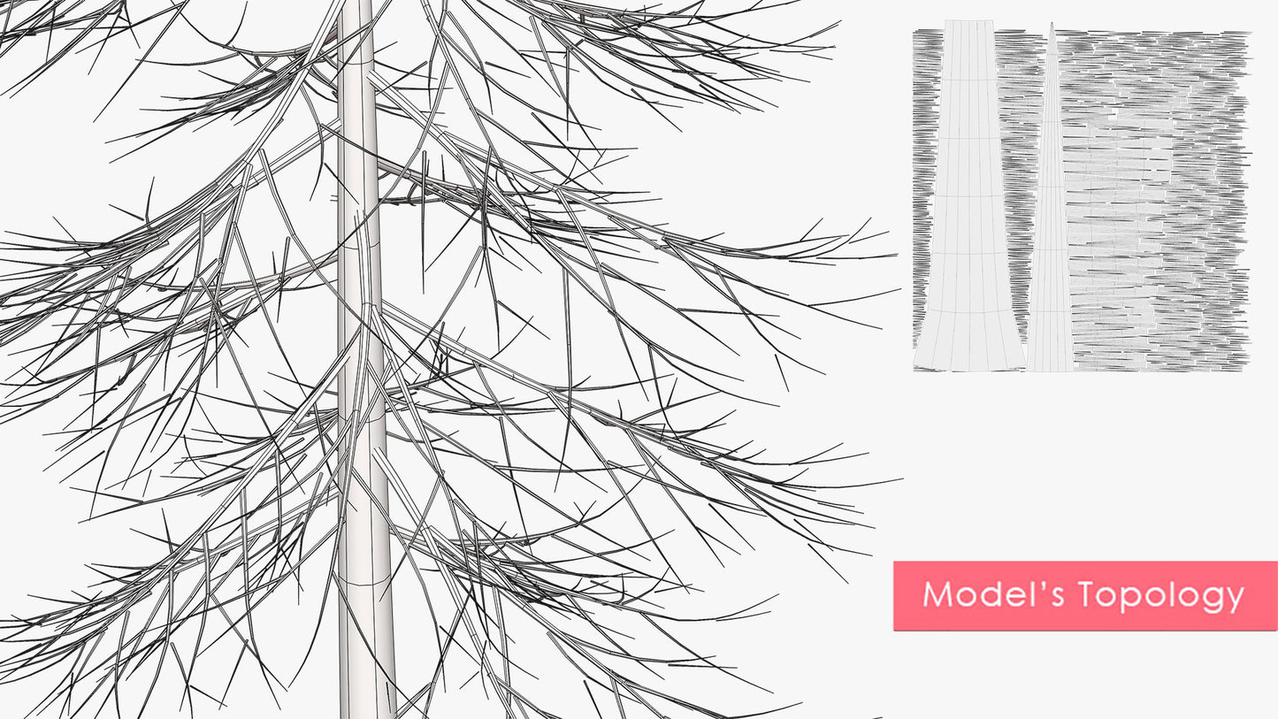 Douglas Fir Collection (Editable Leaves)