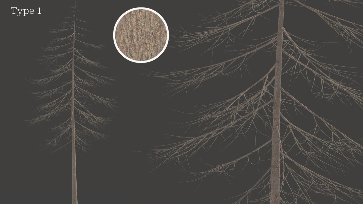 Douglas Fir Collection (Editable Leaves)