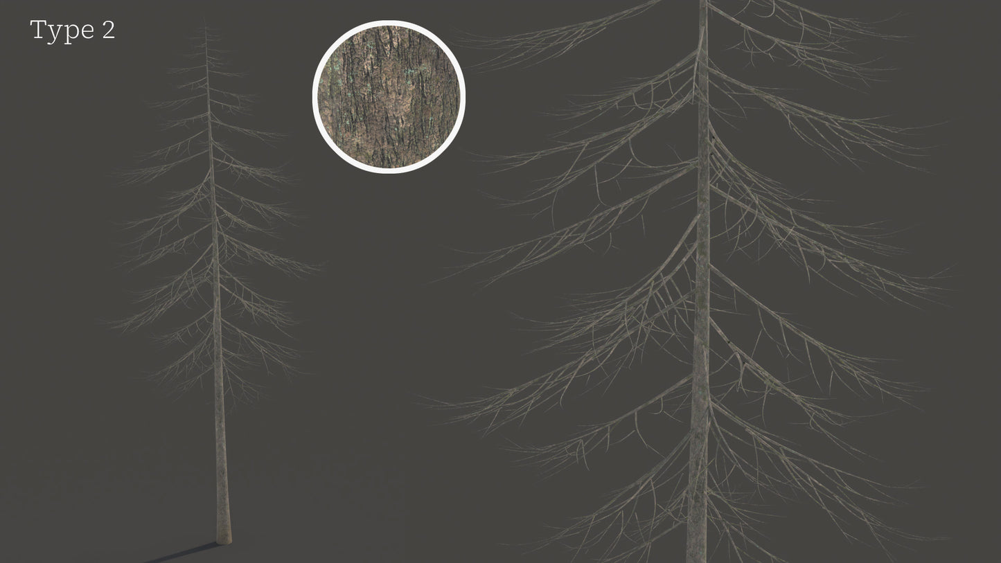 Douglas Fir Collection (Editable Leaves)
