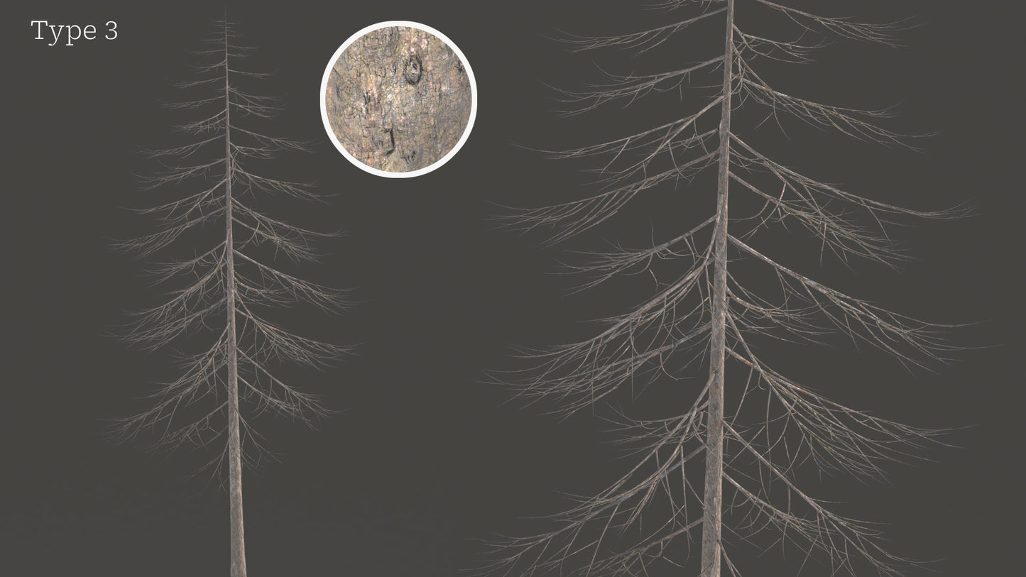 Douglas Fir Collection (Editable Leaves)
