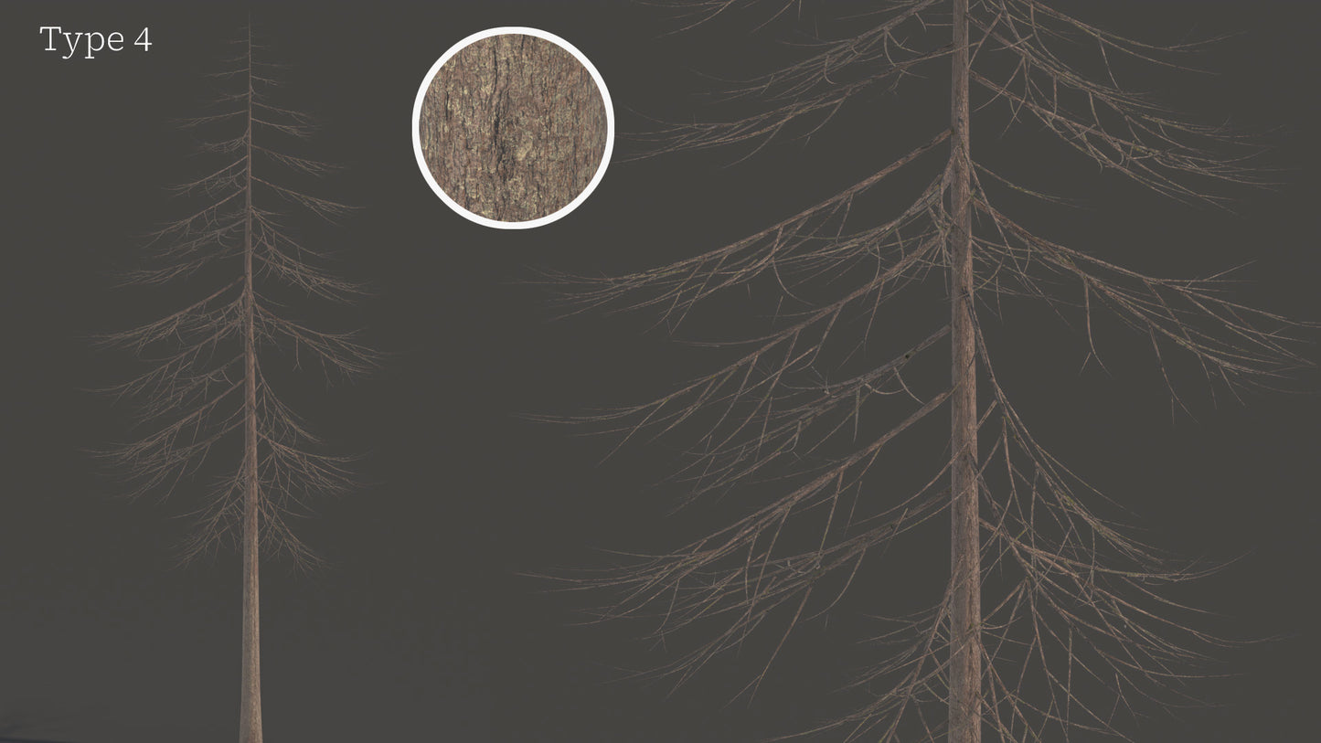 Douglas Fir Collection (Editable Leaves)
