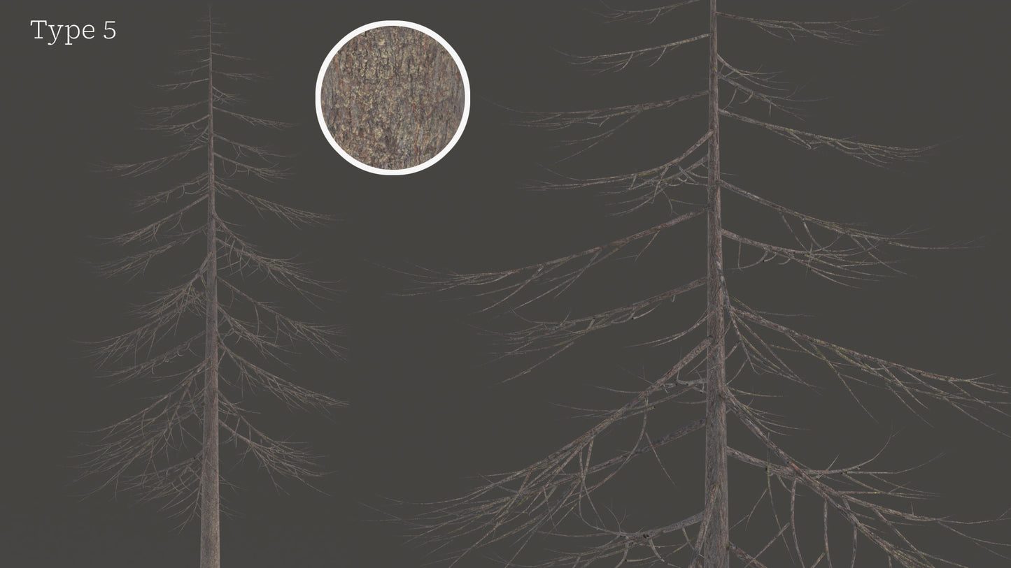 Douglas Fir Collection (Editable Leaves)
