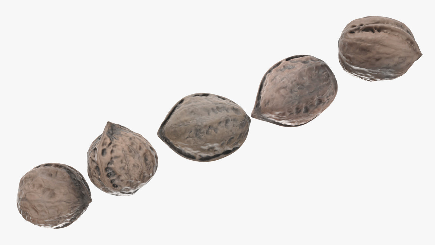 A 3d model of five Japanese variety walnuts. They have very small polycount, but they look real