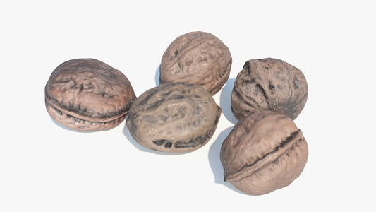 A 3d model of five Japanese variety walnuts. They have very small polycount, but they look real