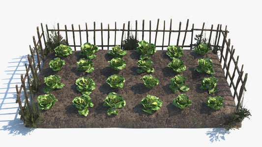 Lettuce Farm with Fence & Weeds