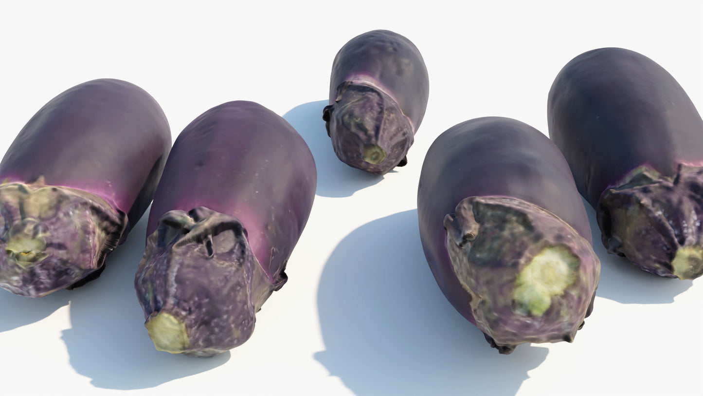 Nasu (Japanese Eggplants)