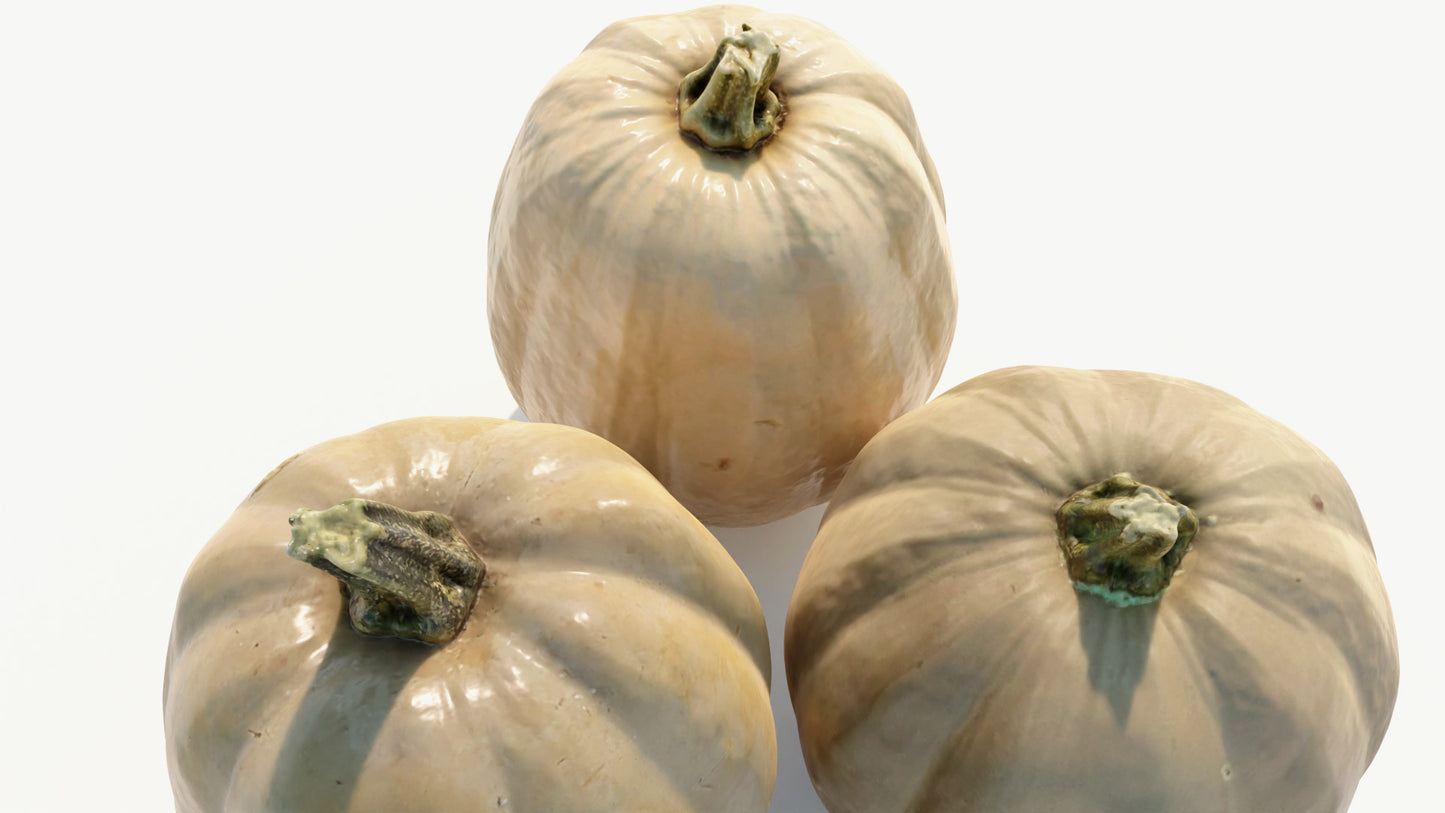 Orange Pumpkin retopologized scan 3d model with lowpoly PBR materials, game asset