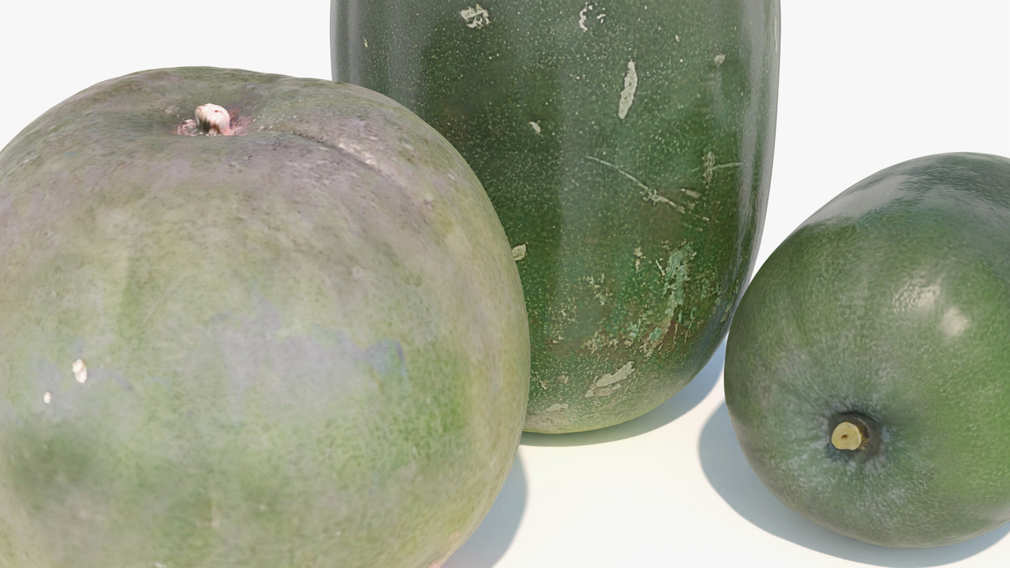 Tougan (Wax Gourds)