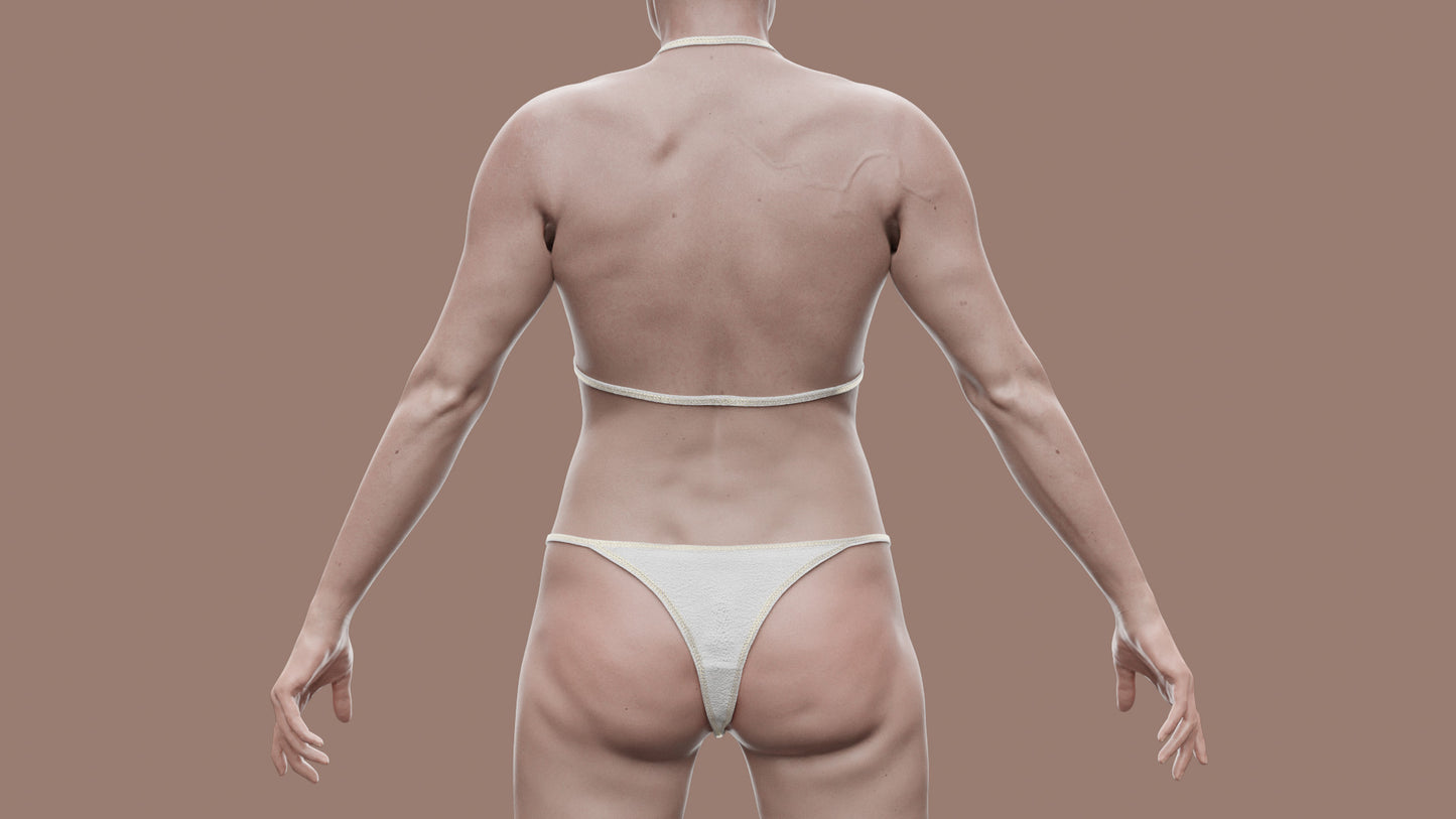 CHARLOTTE | Transhuman4Blender - Persona |