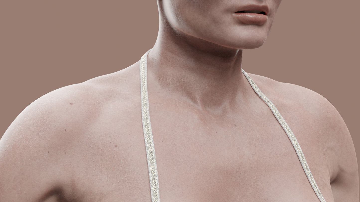 CHARLOTTE | Transhuman4Blender - Persona |