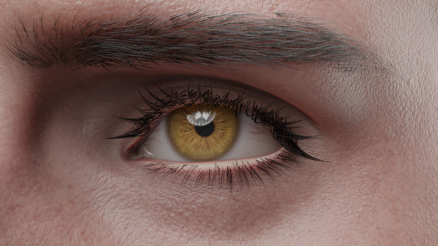 CHARLOTTE | Transhuman4Blender - Persona |