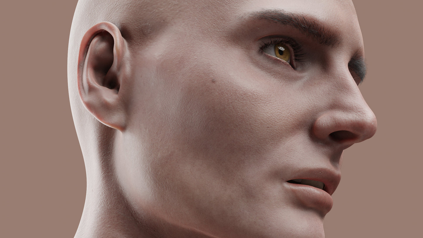 CHARLOTTE | Transhuman4Blender - Persona |