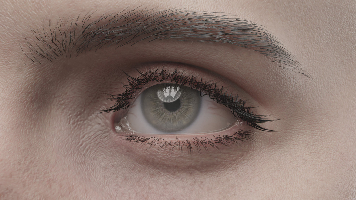 JUNE | Transhuman4Blender - Persona |