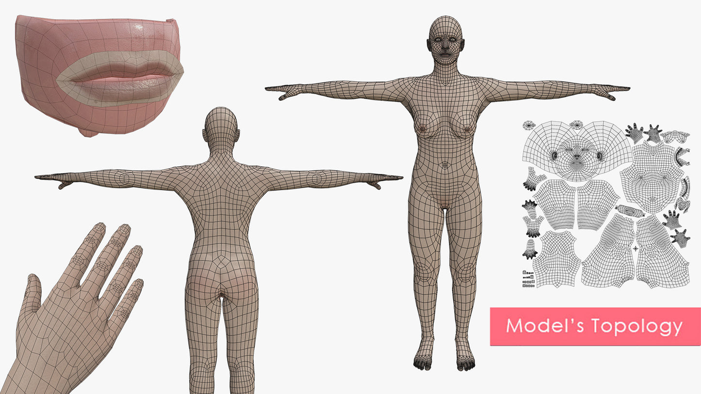 JUNE | Transhuman4Blender - Persona |
