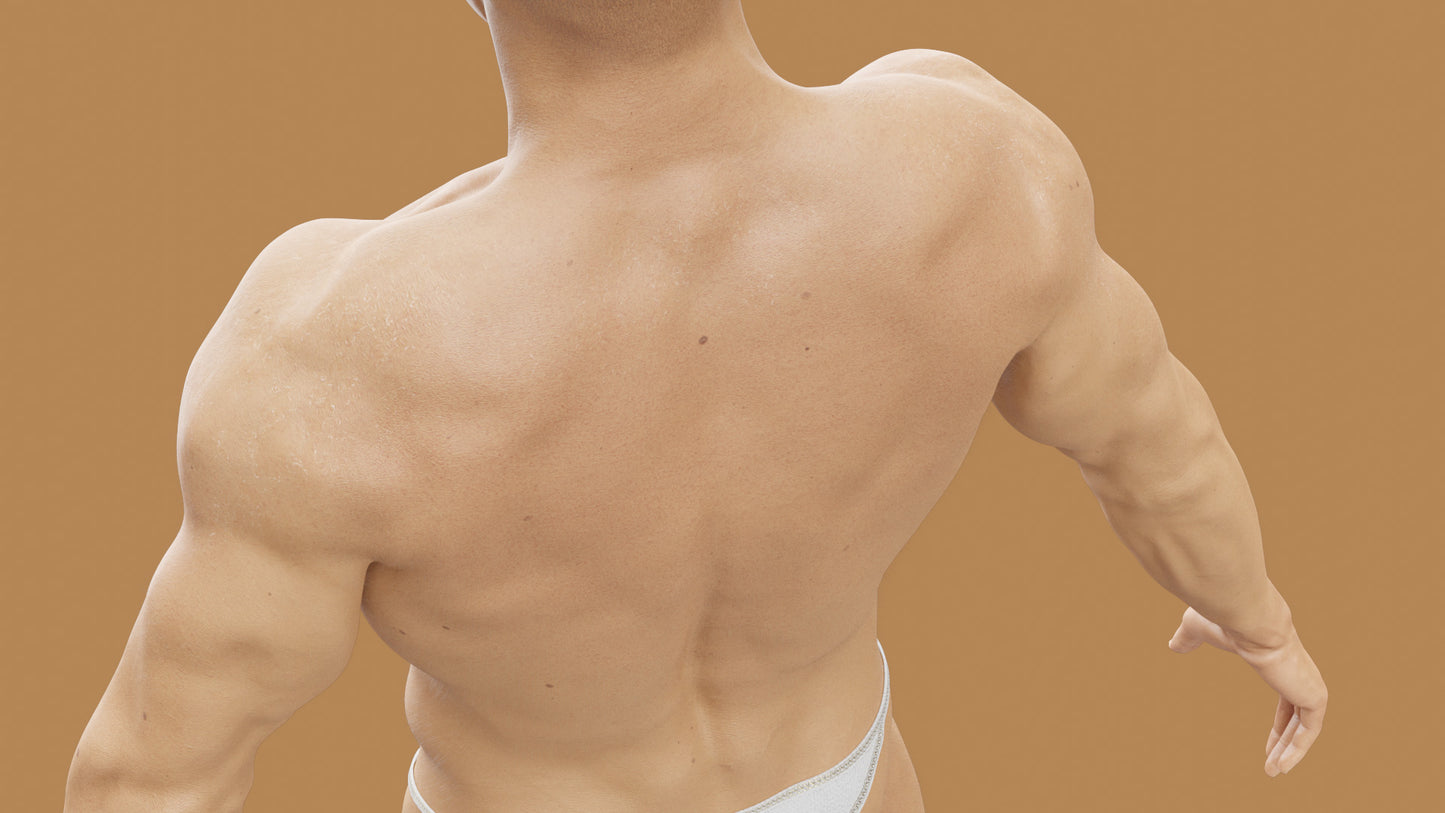 PRICE | Transhuman4Blender - Persona |