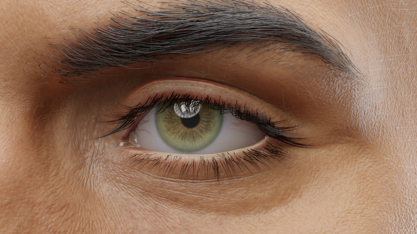 Realistic 3D character, real-time-low-poly, PBR, male, muscular, Blender, FBX, GLB, game asset, Transhuman4Blender