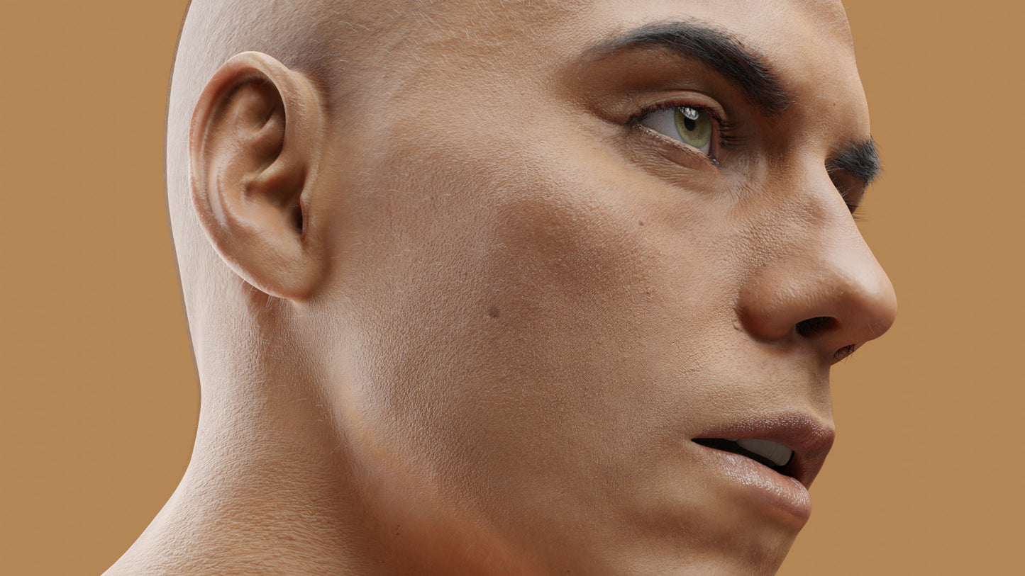 PRICE | Transhuman4Blender - Persona |