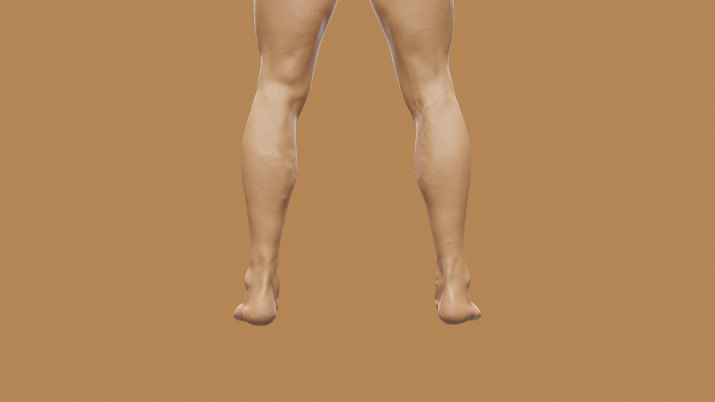 PRICE | Transhuman4Blender - Persona |