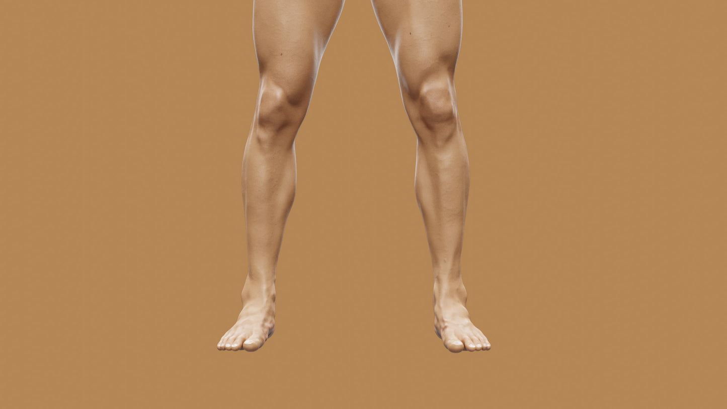 PRICE | Transhuman4Blender - Persona |