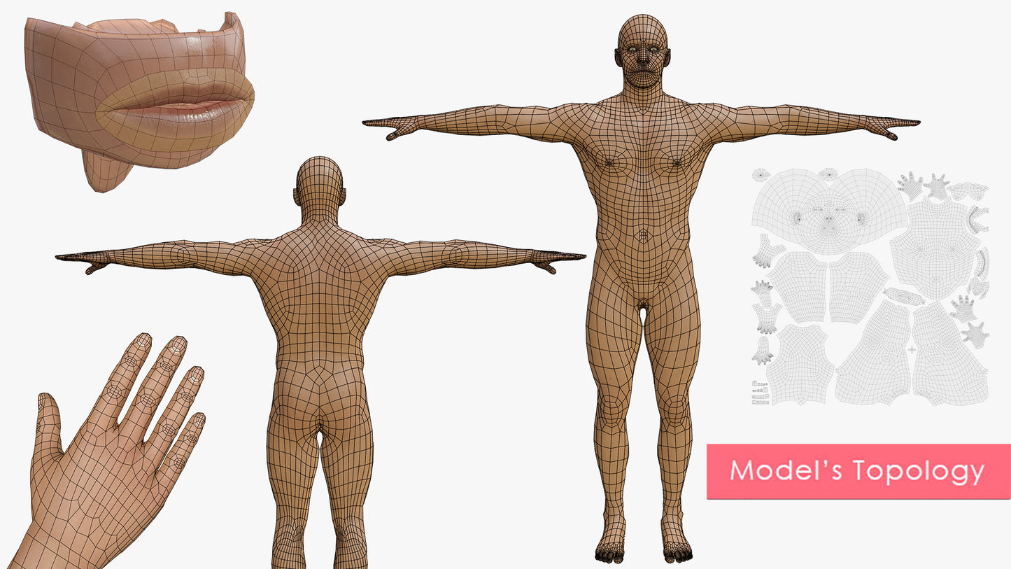 PRICE | Transhuman4Blender - Persona |