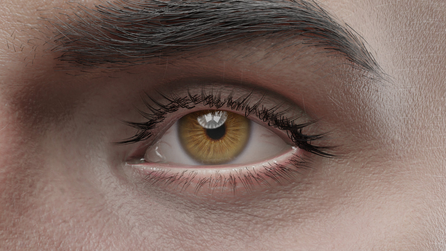 RYKER | Transhuman4Blender - Persona |