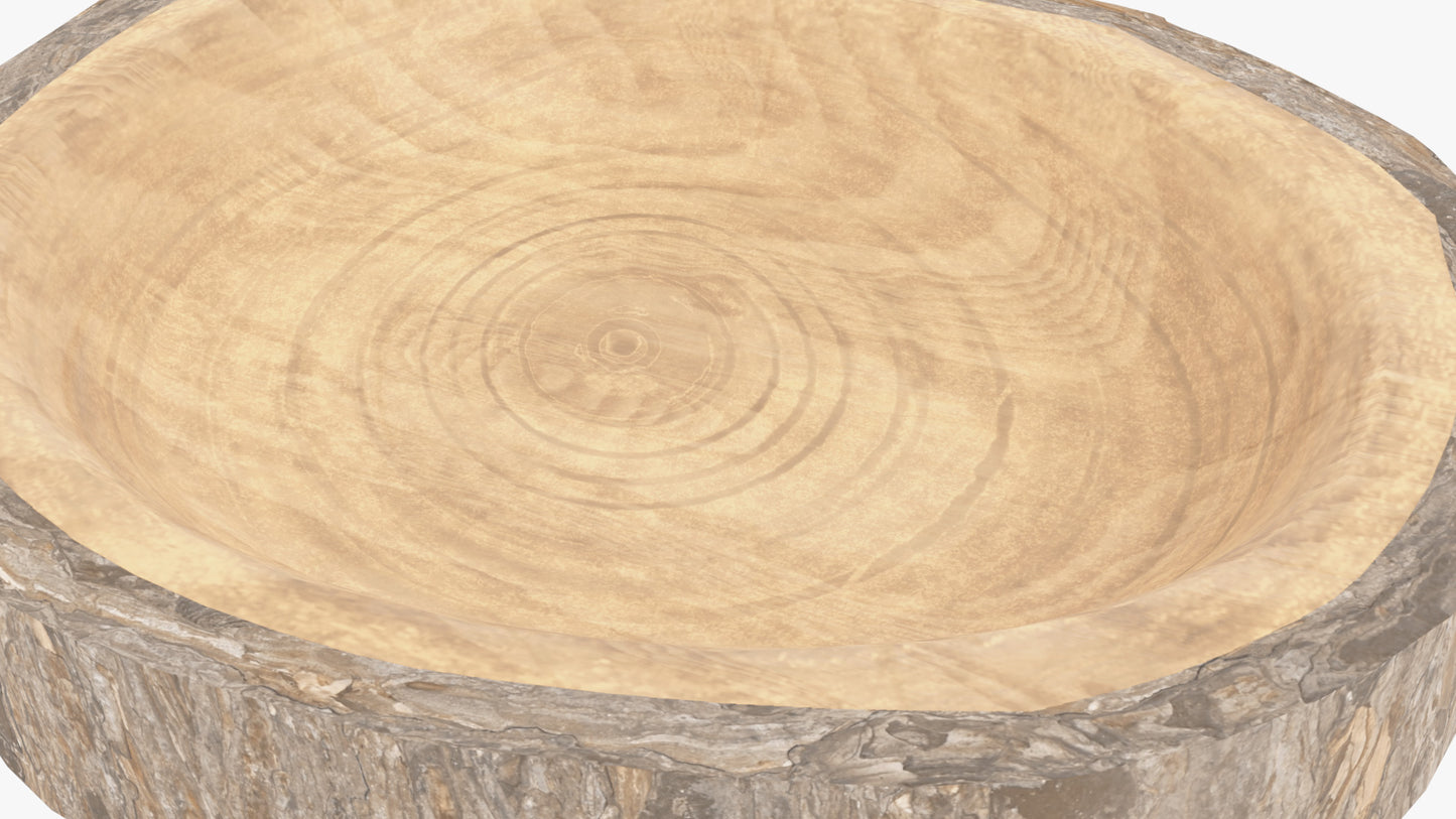 Tree Section Serving Plate