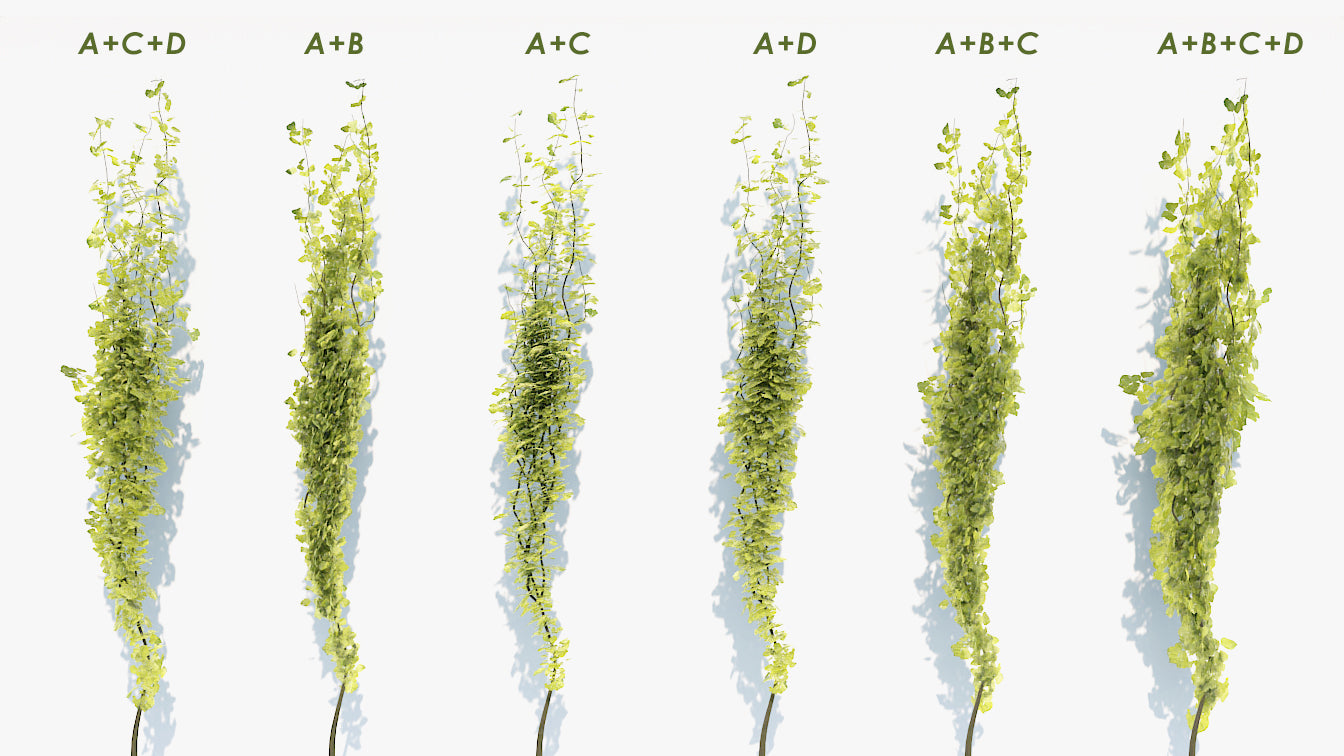 Ivy plant 3d model for Blender and OBJ with low polycount and PBR textures