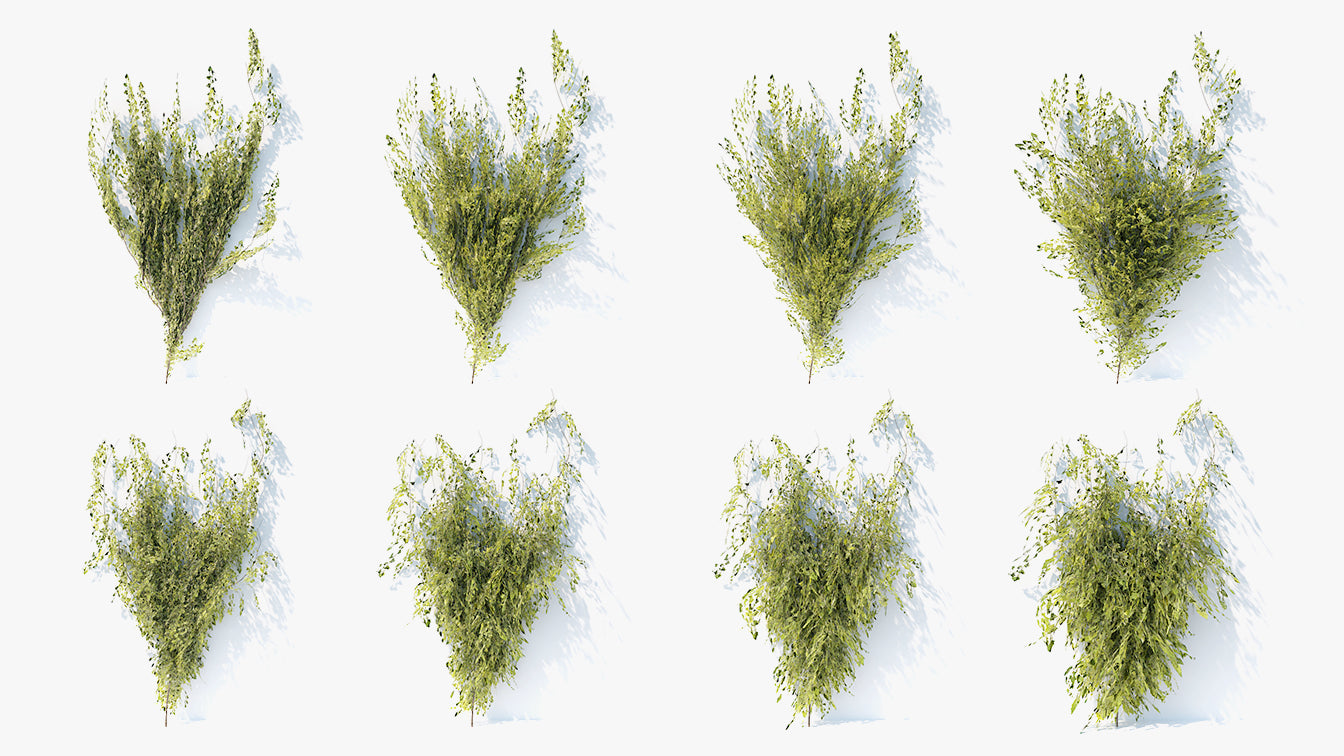Creeping ivy low poly 3d model for Blender and OBJ with PBR textures