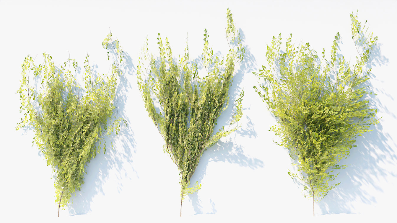Creeping ivy low poly 3d model for Blender and OBJ with PBR textures