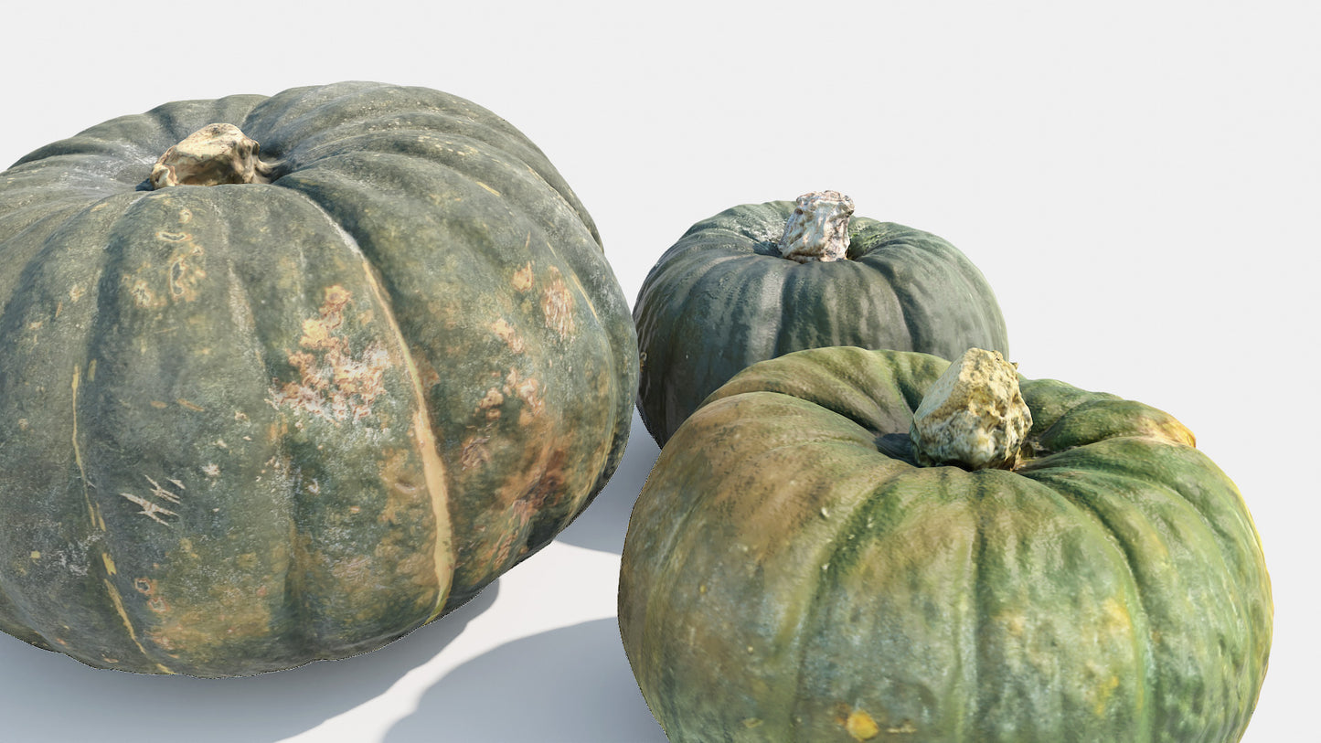3d model of scanned japanese green pumpkins, retopologized and low poly for Blender and OBJ with PBR textures