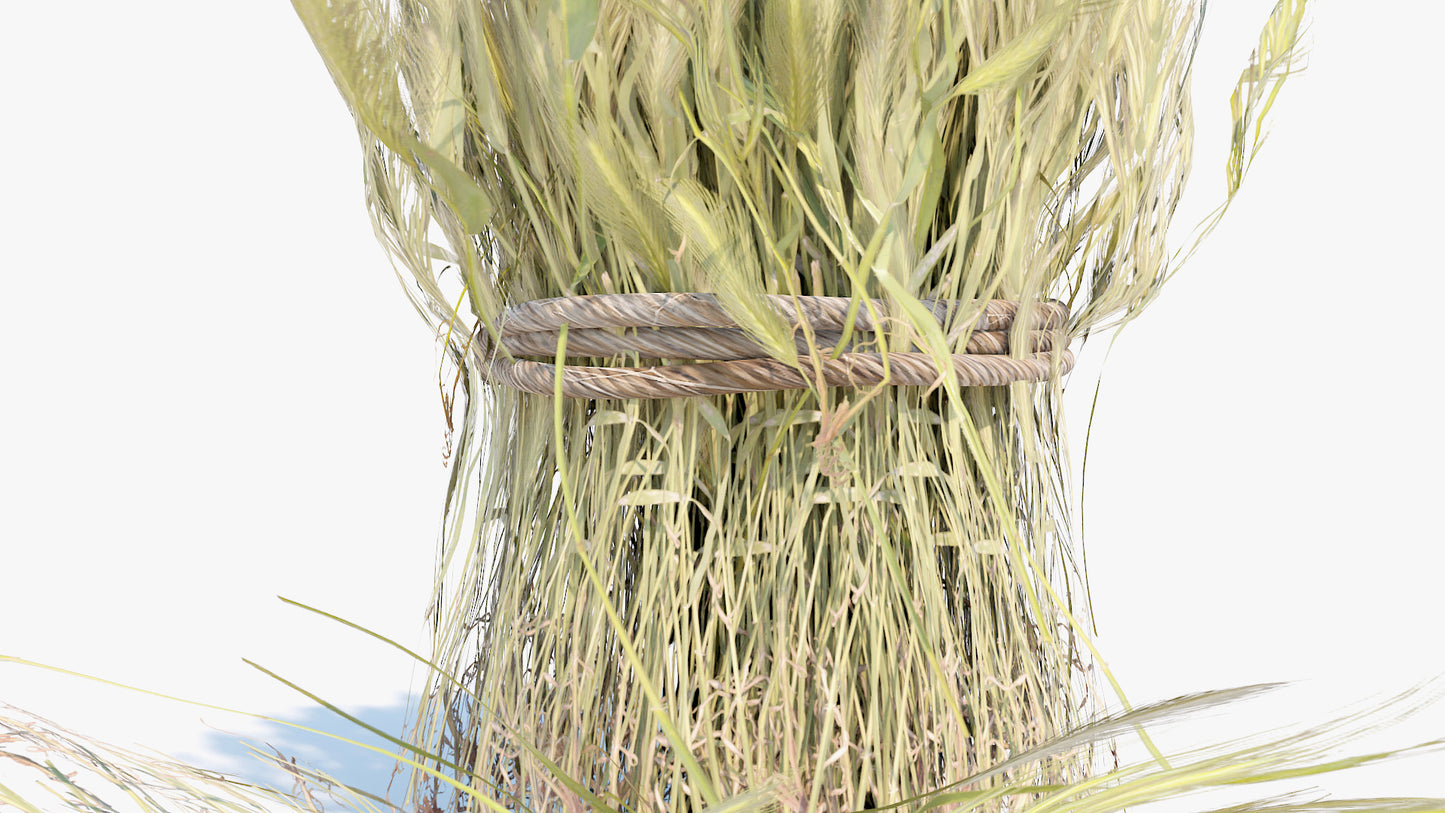 Harvested wheat rolls 3d model for Blender and OBJ with low polycount and PBR textures
