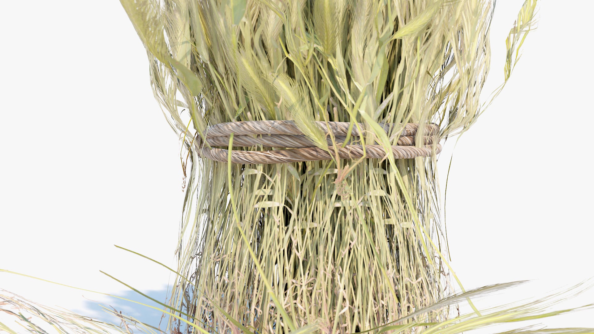 Harvested wheat rolls 3d model for Blender and OBJ with low polycount and PBR textures