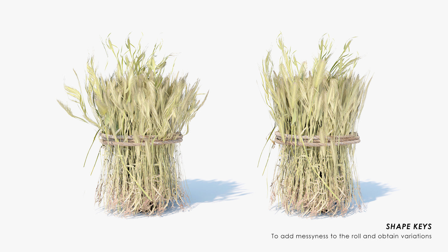 Harvested Barley Rolls