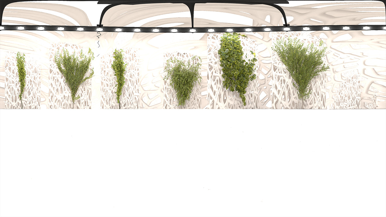 HDRI-39: White Voronoi Structure Plants | Env. Dome |