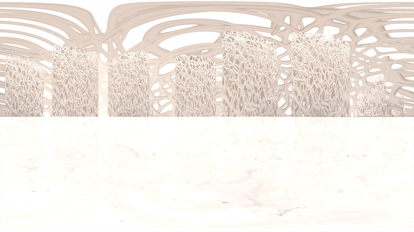 HDRI-40: White Voronoi Structure | Env. Dome |