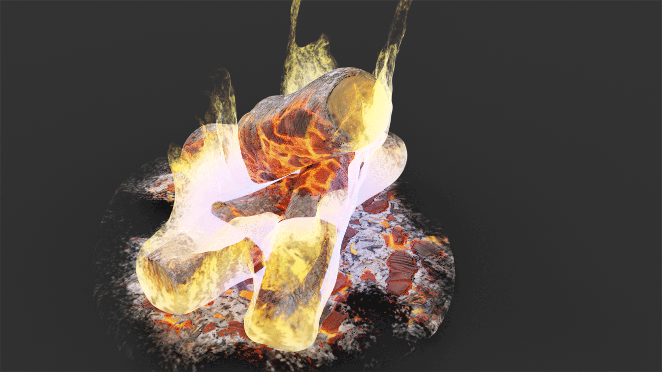 Burning Logs Campfire