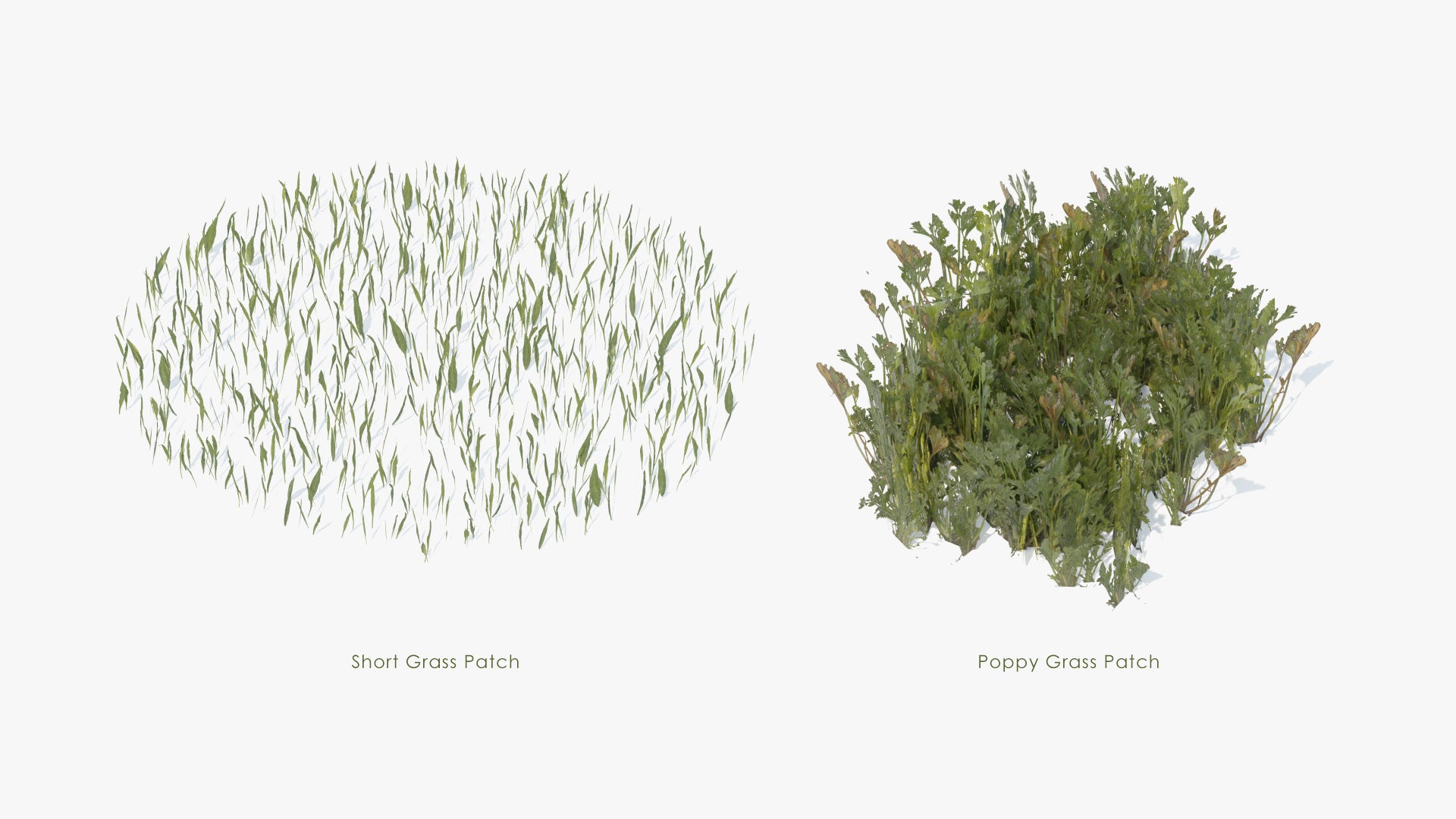 grass pack 3d model for Blender and OBJ, with PBR textures, mmesh cards and lowpoly