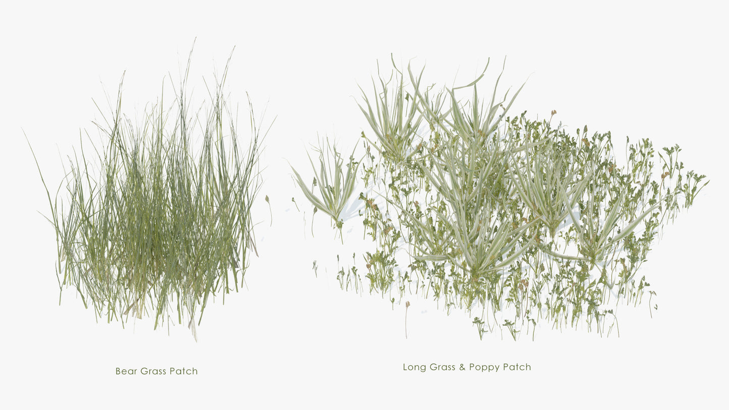 grass pack 3d model for Blender and OBJ, with PBR textures, mmesh cards and lowpoly