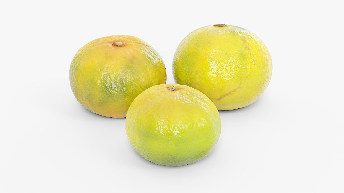 Green Mikan (Japanese Mandarin)