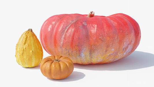 Halloween pumpkin 3d model scan retopologized lowpoly Blender and OBJ with PBR textures