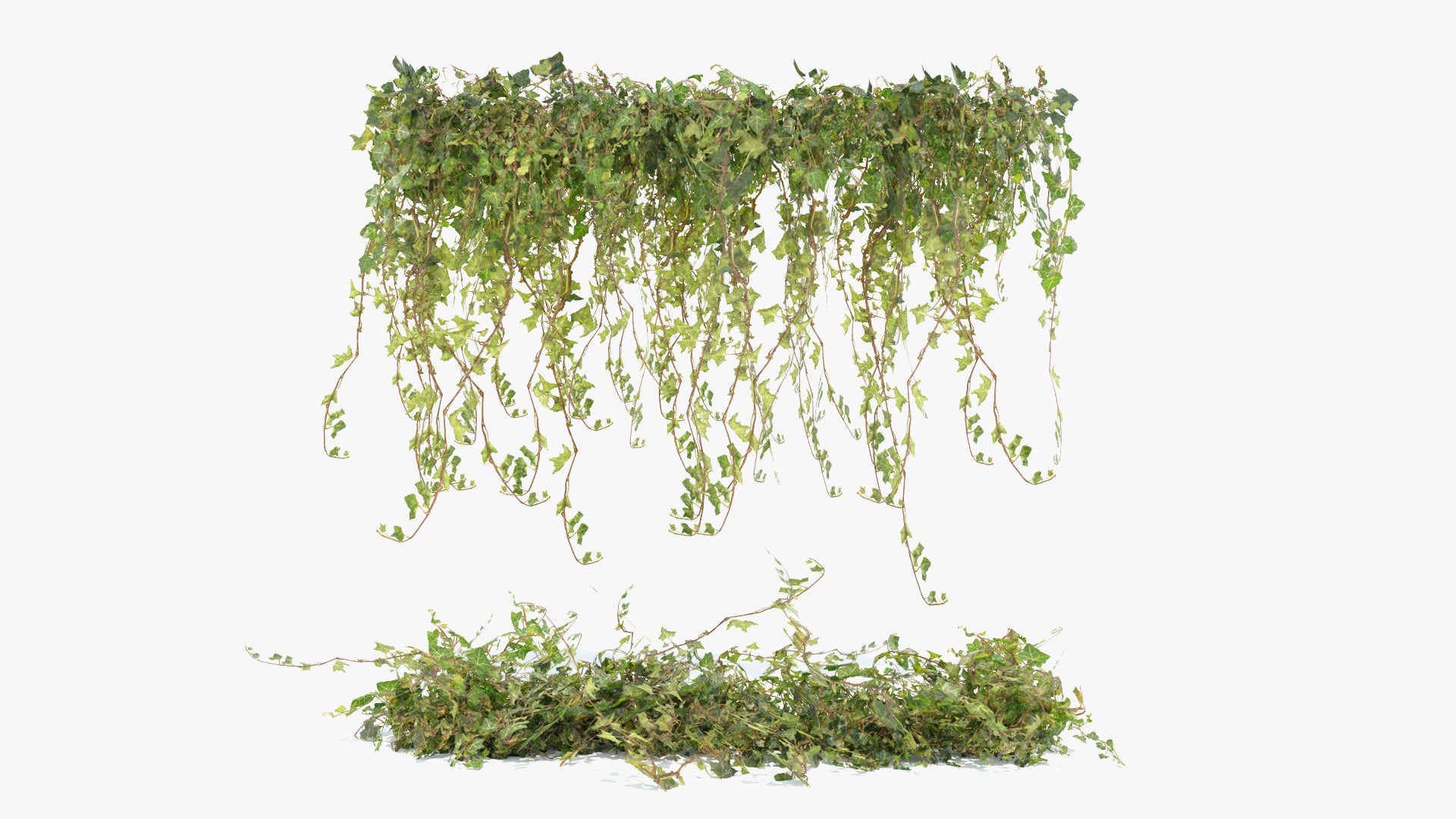 hanging plant 3d model free Ground & Hanging Ivy Designer (Mesh Cards) - 3D Model | Blender | OBJ
