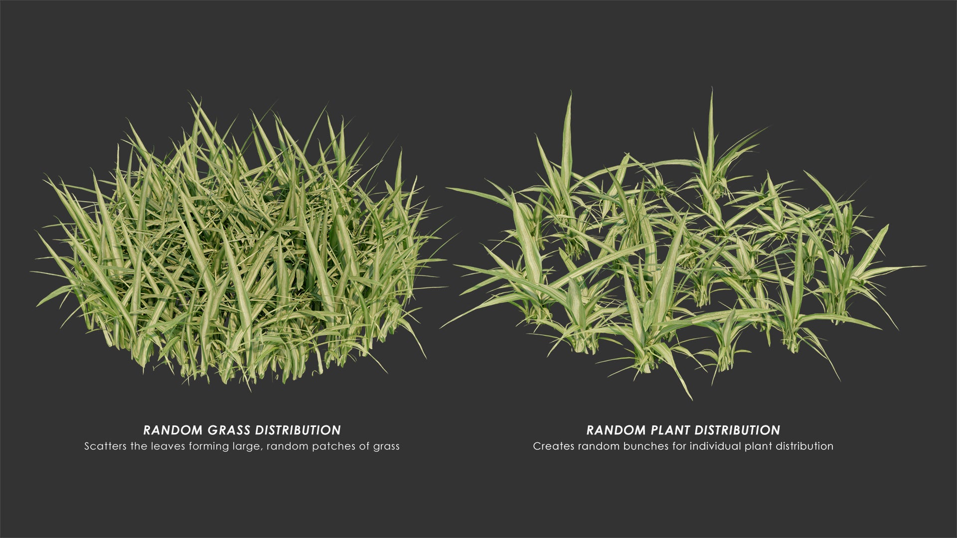 Spider plant mesh card 3d model blender and obj with low poly count and PBR textures
