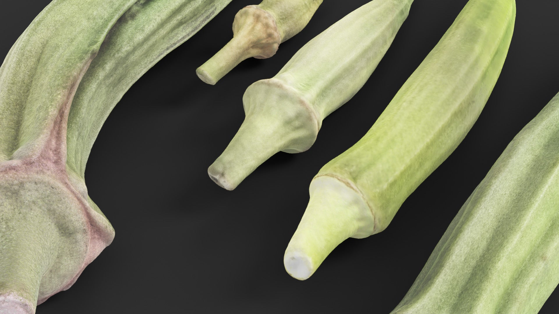 Japanese okras 3d model Blender OBJ PBR