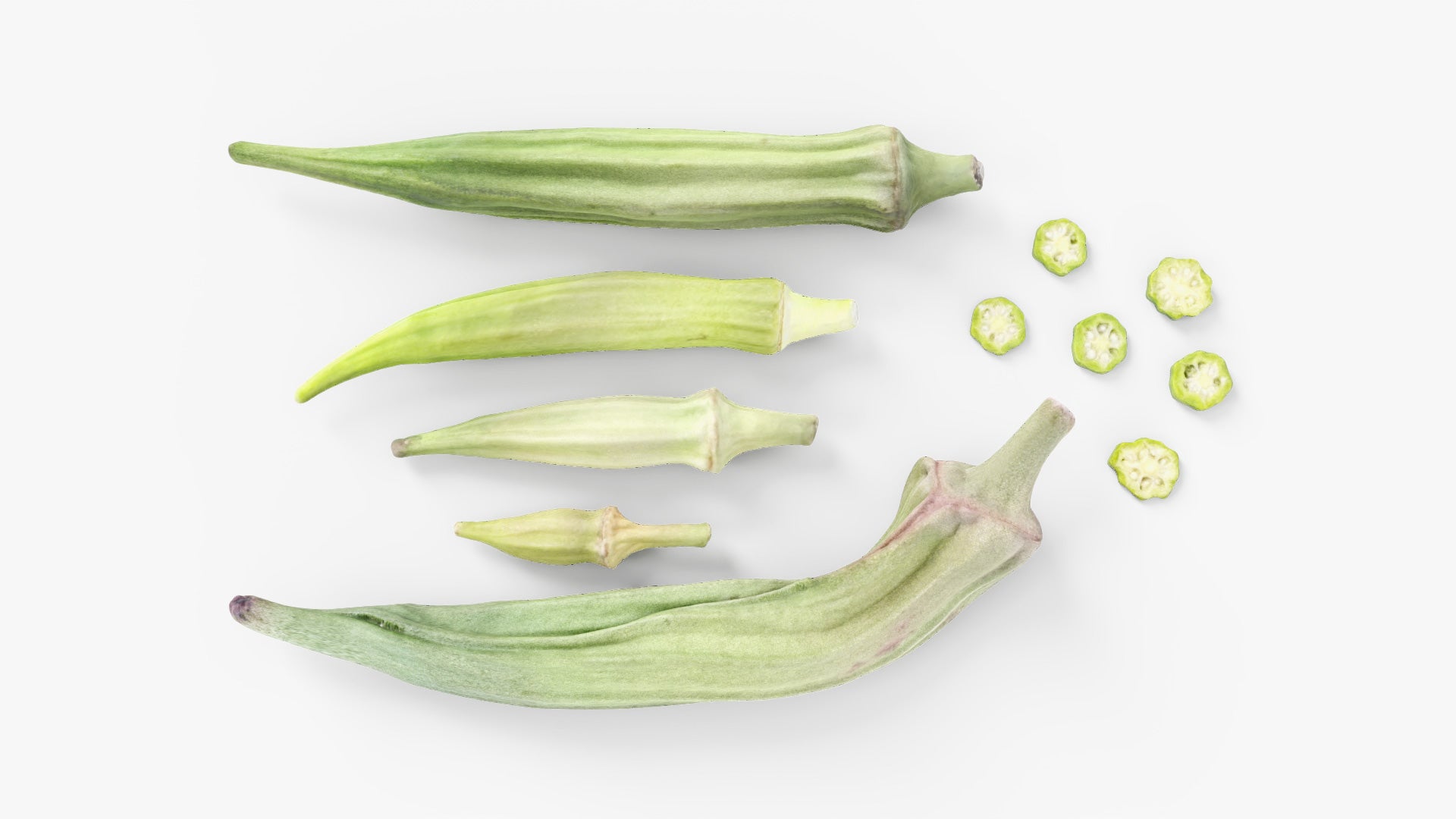 3d model of scanned Japanese okras, retopologized and low poly for Blender and OBJ with PBR textures