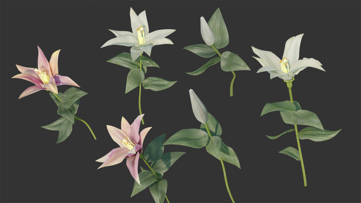 Lily flowers and buds 3d model for Blender and OBJ with low polycount and PBR textures