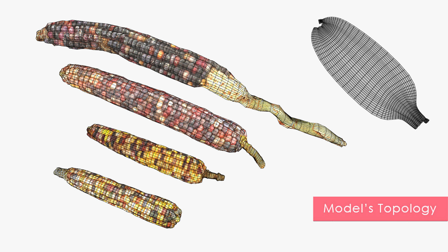 Heirloom Corn - Four Cobs & Pile