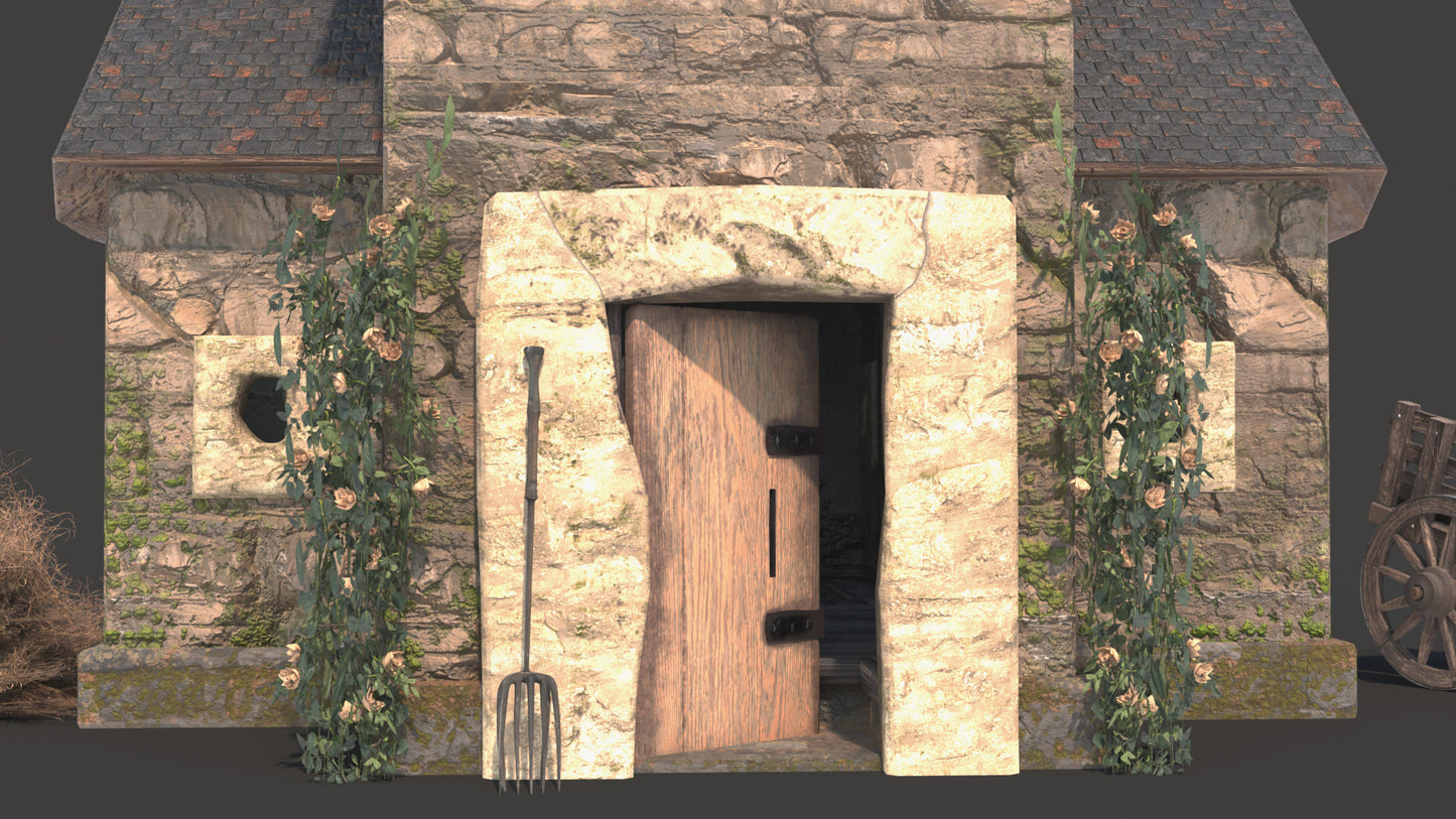 Medieval House - 9